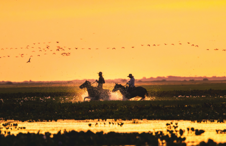 Llaneros riding through the flooded plains at sunset