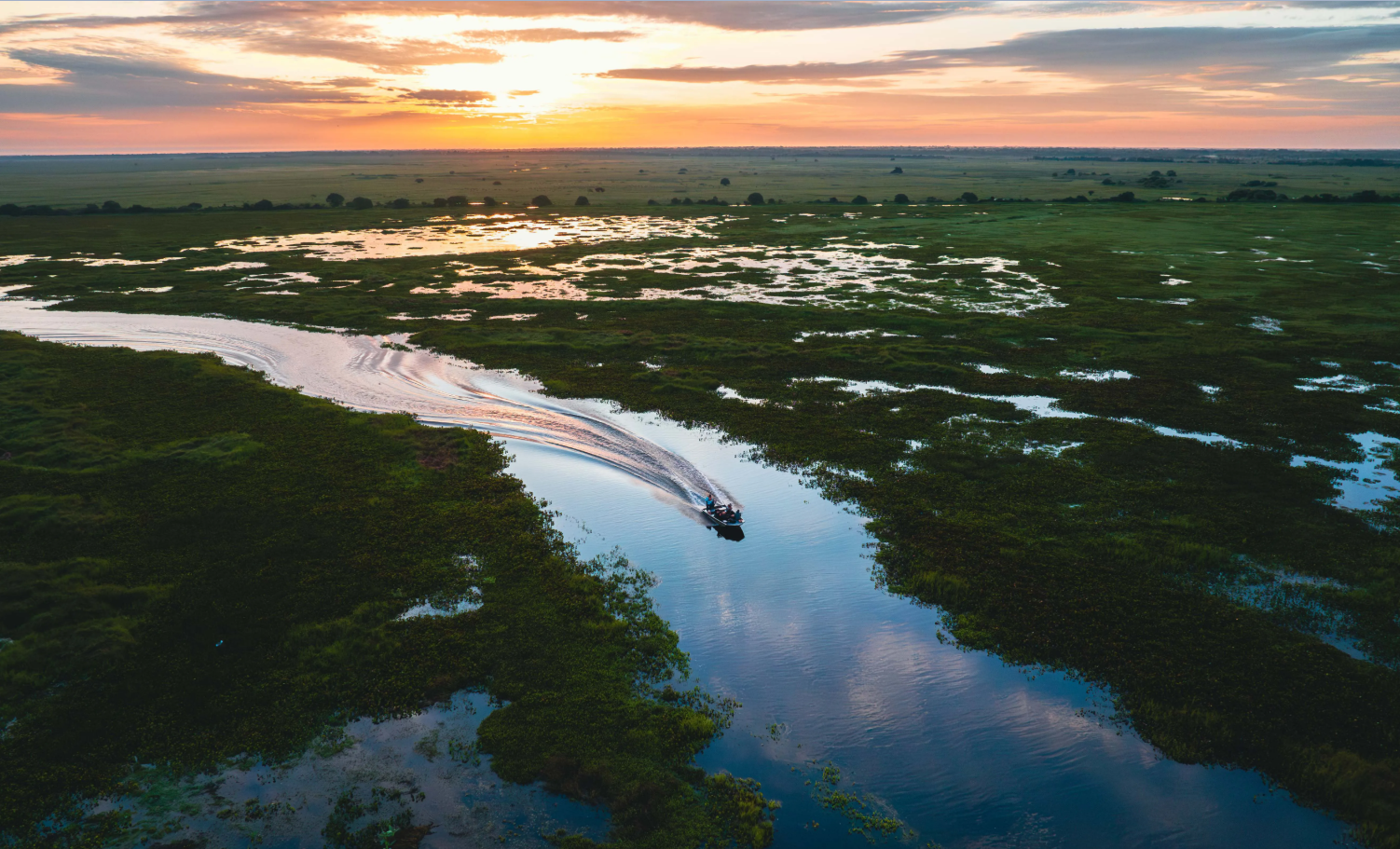 The flooded Llanos at dusk